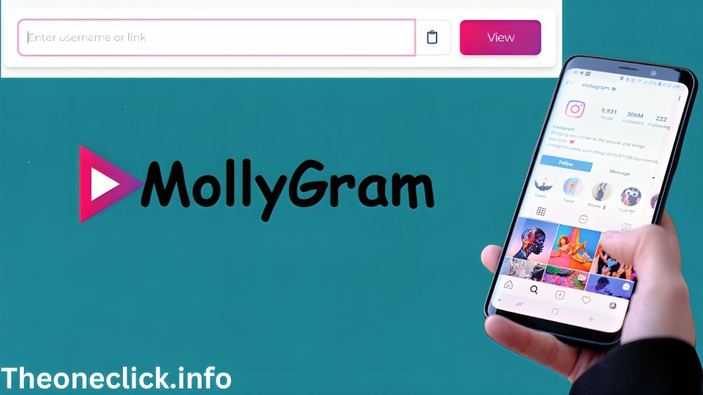 Mollygram Instagram: Comprehensive  Guide to Anonymous Instagram Story Viewer